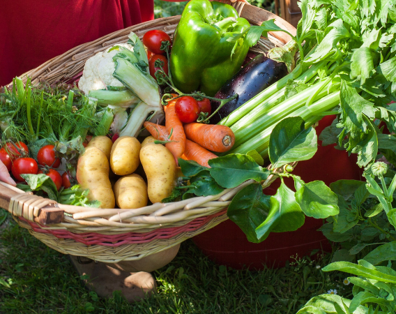 Le verdure più buone, sulla tua tavola tutto l’anno bofrost